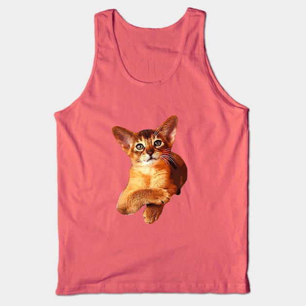 Abyssinian Kitten Cat Cute! Tank Top by ElegantCat